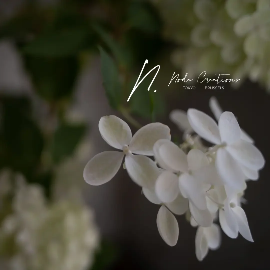 紫陽花ブログ６月 18