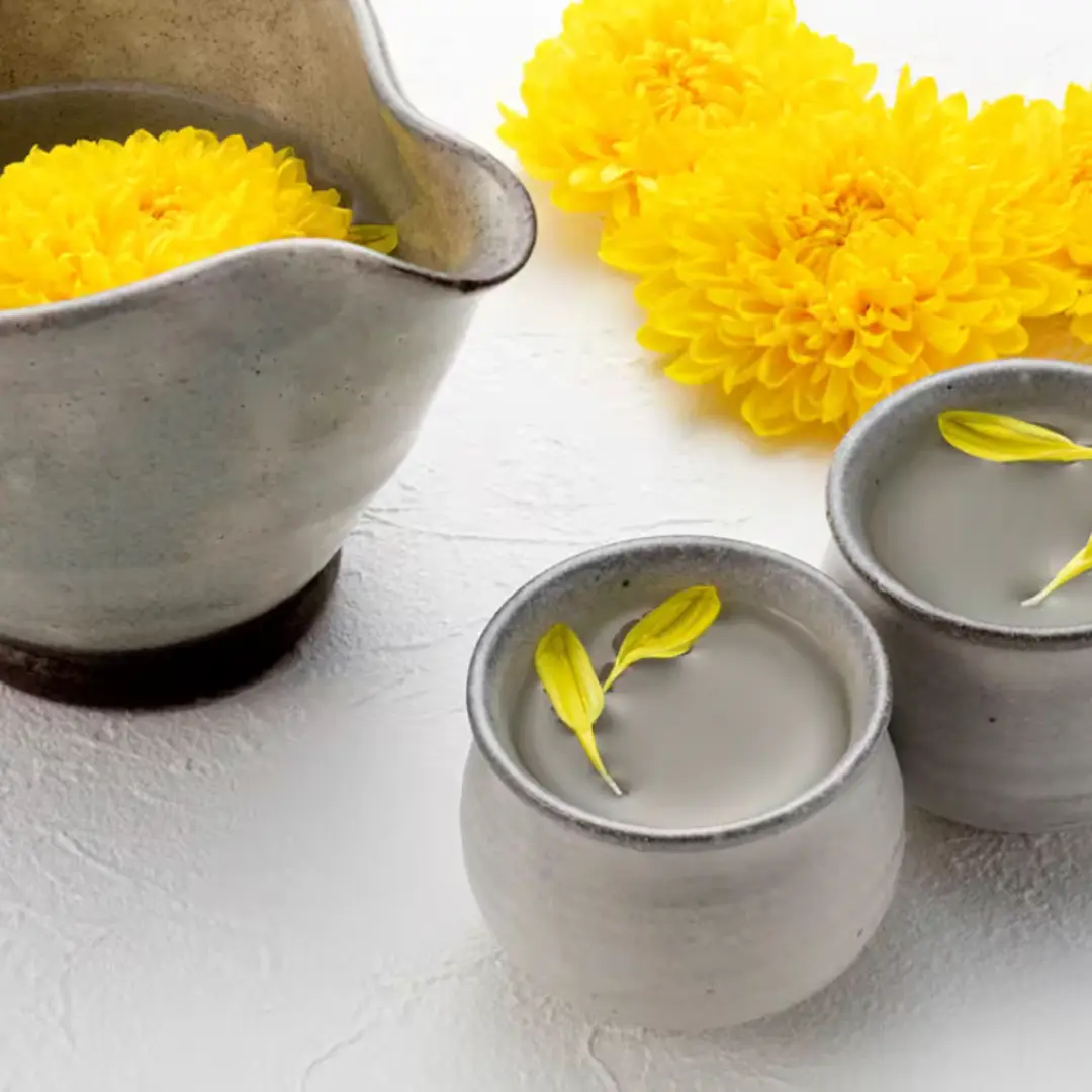 Copie de 10 25 Le chrysanthème
