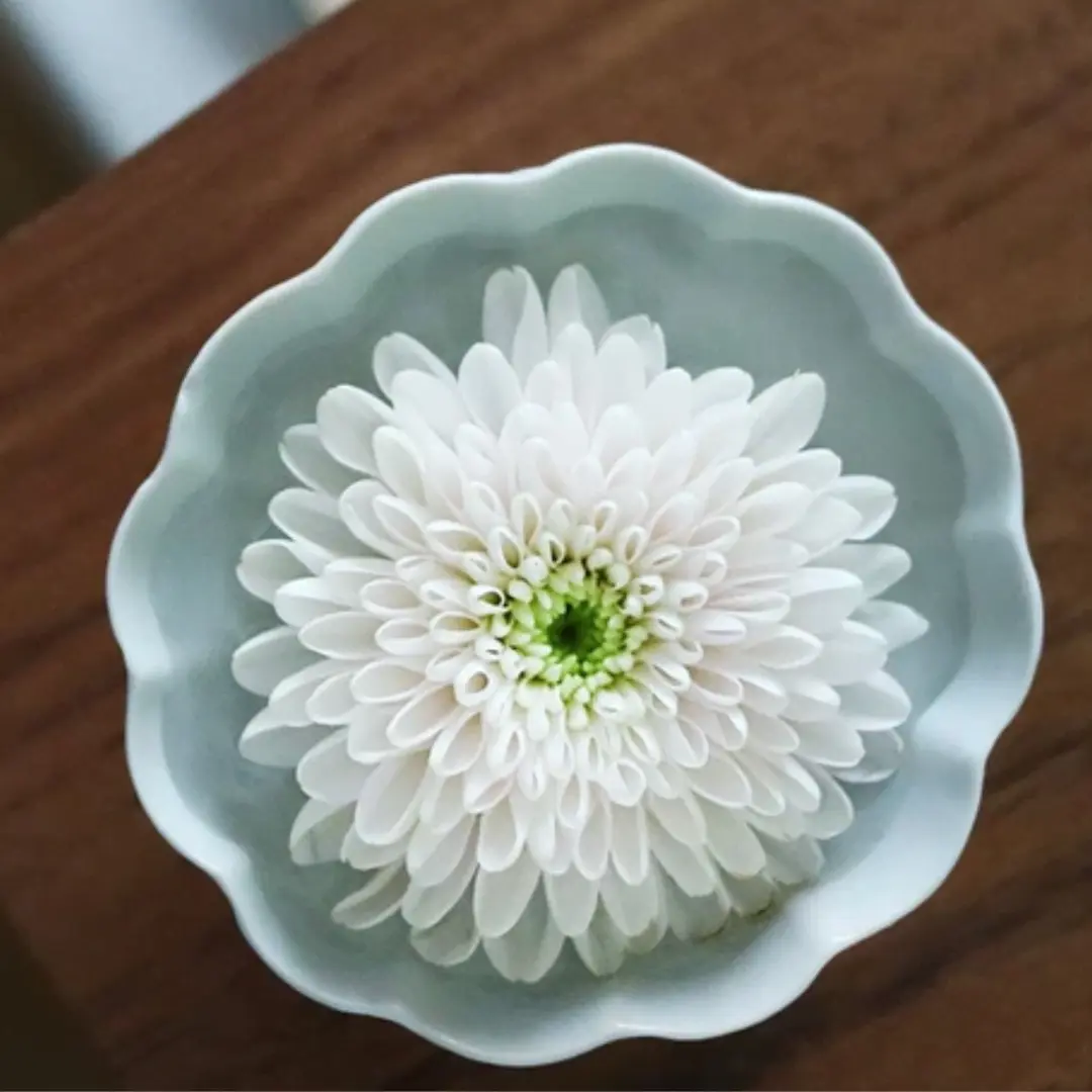 Copie de 10 25 Le chrysanthème