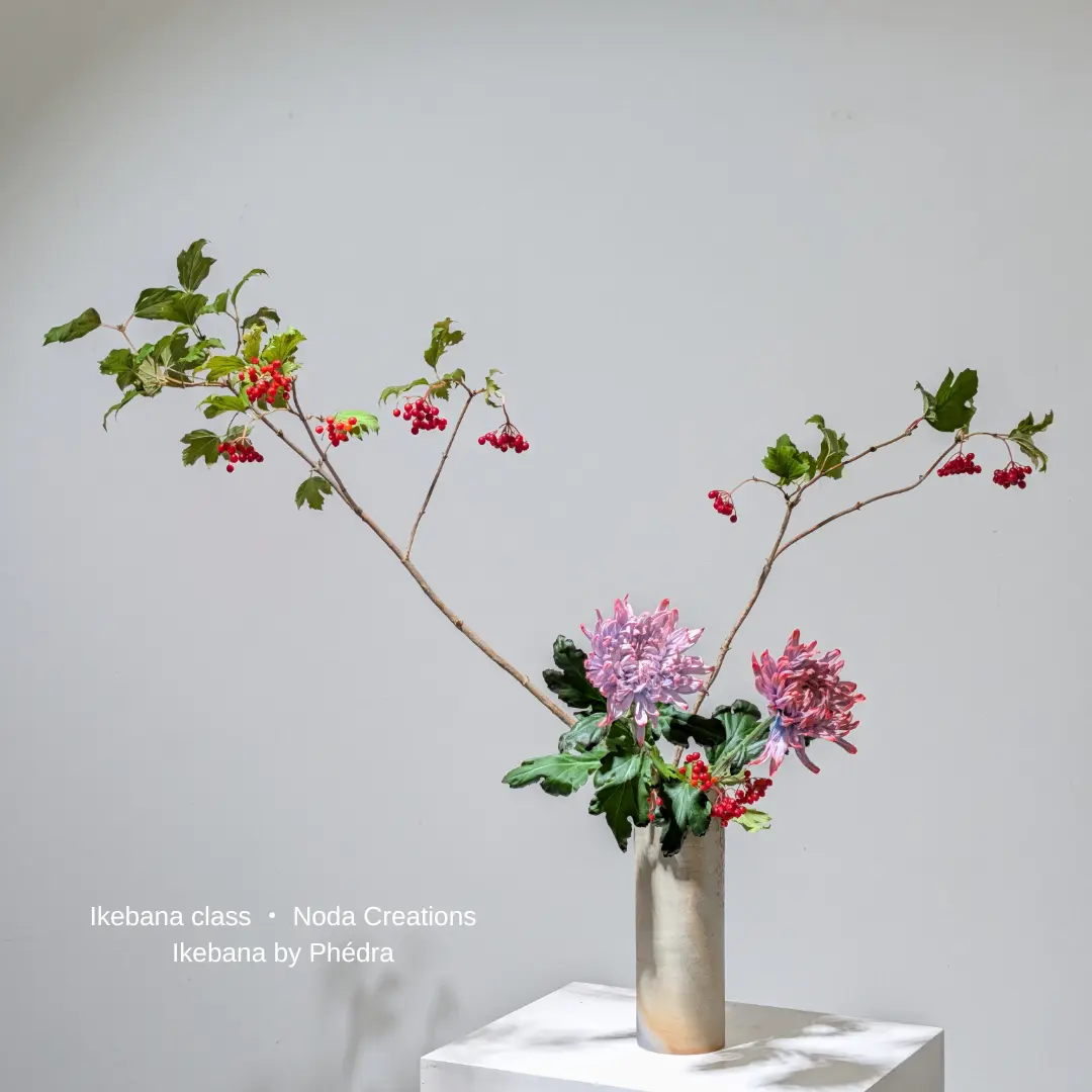 Copie de 10 25 Le chrysanthème