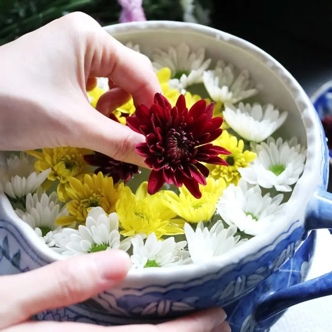 Copie de 10 25 Le chrysanthème