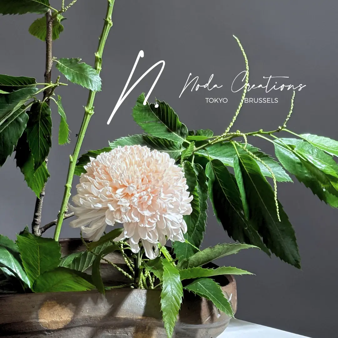 Copie de 10 25 Le chrysanthème